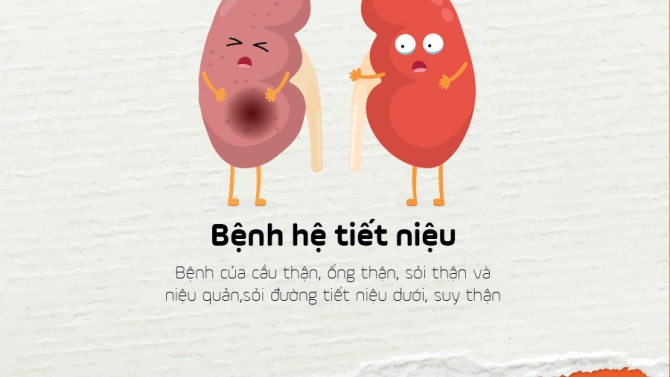 Inforgraphic