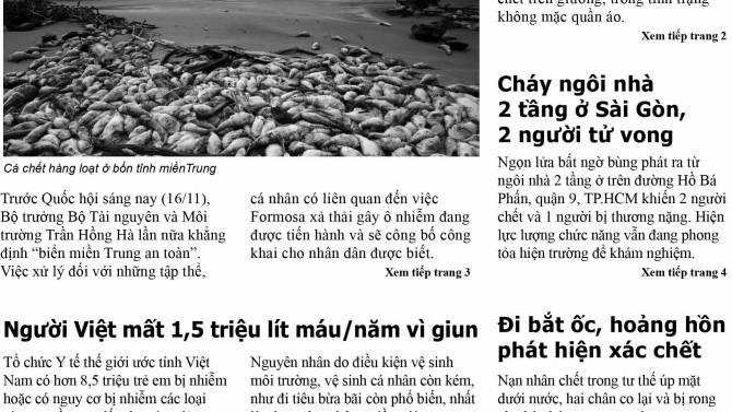 B&aacute;o Ng&agrave;y mới