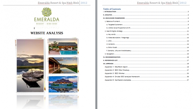 Website analysis