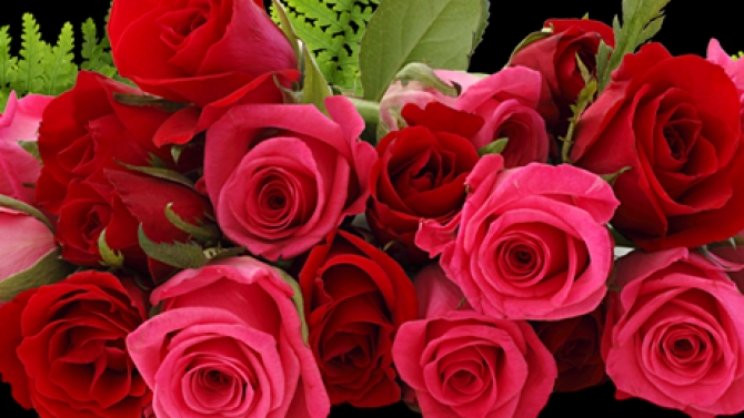 aaa