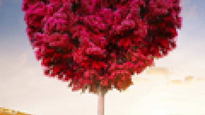 LoveTree