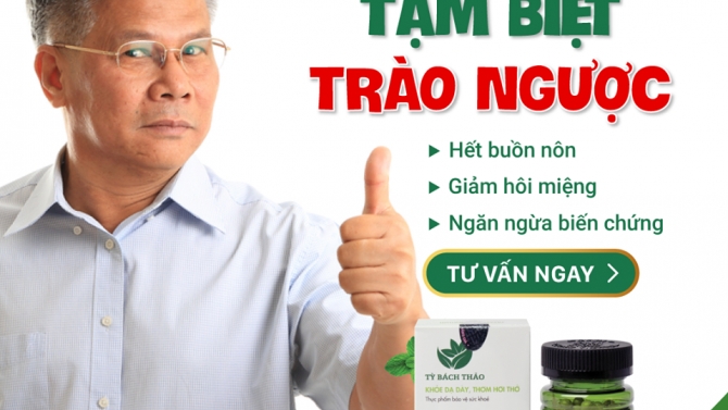 Dự &aacute;n Tỳ B&aacute;ch Thảo