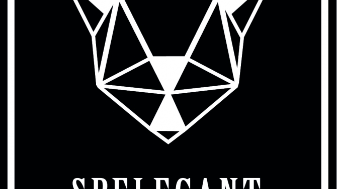Spelegant Fashion