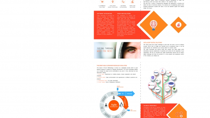 Thiết kế brochure