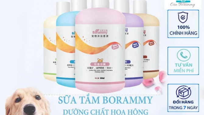 Thiết kế ảnh , baner