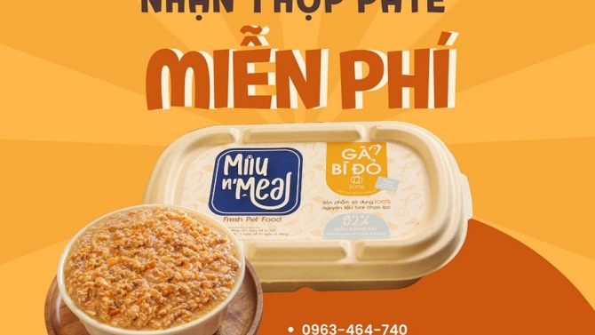 Thiết kế banner chương tr&igrave;nh