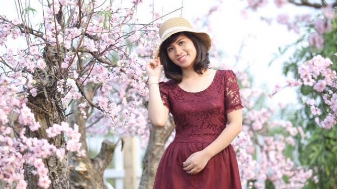Nhập dữ li&ecirc;u, g&otilde; văn bản,....
