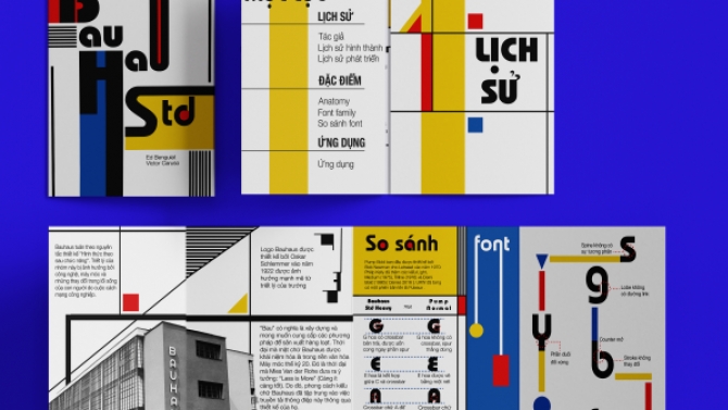 Thiết kế brochure