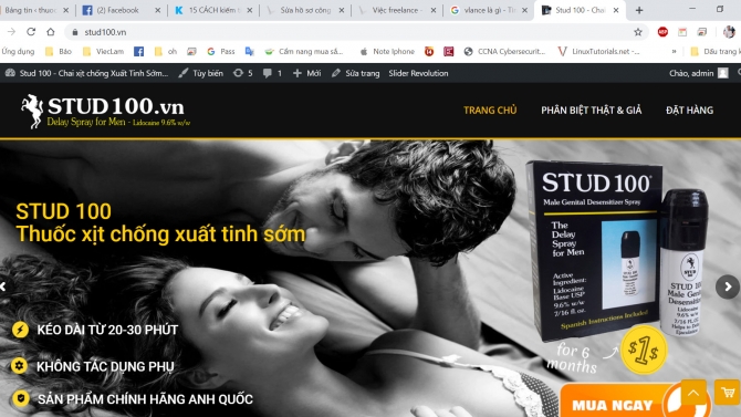 Thiết kế Wedsite Stud100.vn
