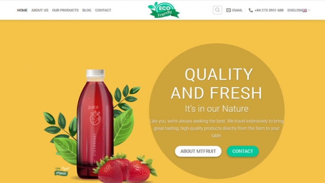 Thiết kế Website MT Fruits