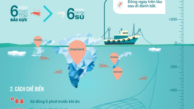 T&ocirc;m bắc cực infographic