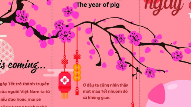Thiết kế brochure Tết