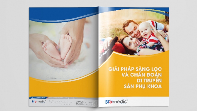 Thiết kế Brochure
