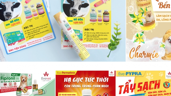 Thiết kế truyền th&ocirc;ng Fivevet
