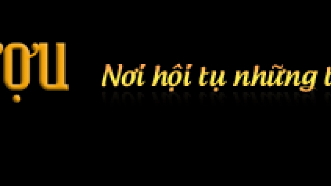 Seo từ kh&oacute;a về rượu