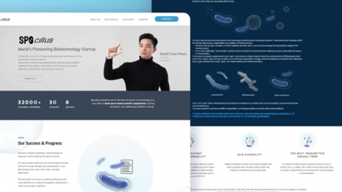 Thiết kế giao diện Website/App (UX/UI)