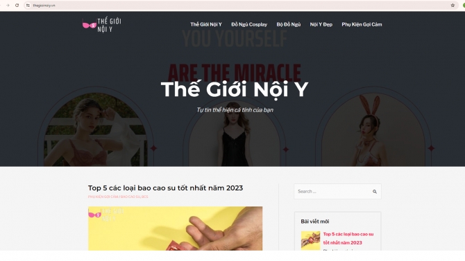 C&aacute;c dự &aacute;n thiết kế v&agrave; SEO website đ&atilde; l&agrave;m - 3