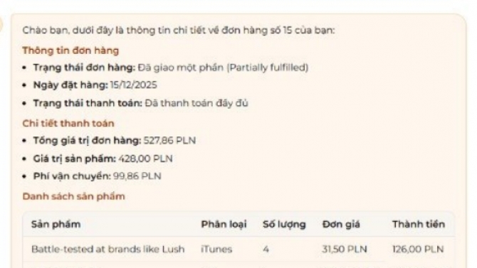 E-commerce AI Copilot