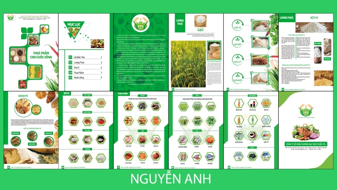 Thiết kế Catalogue c&ocirc;ng ty FFL