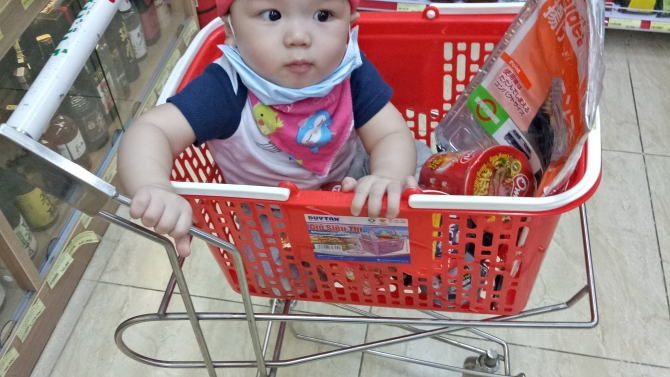 Kiến tr&uacute;c