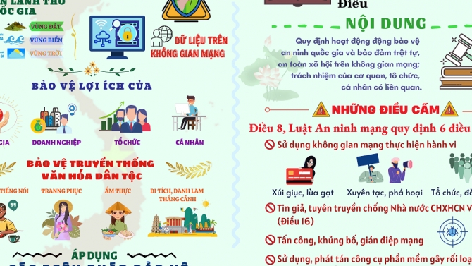 Thiết kế infographic Luật Việt Nam