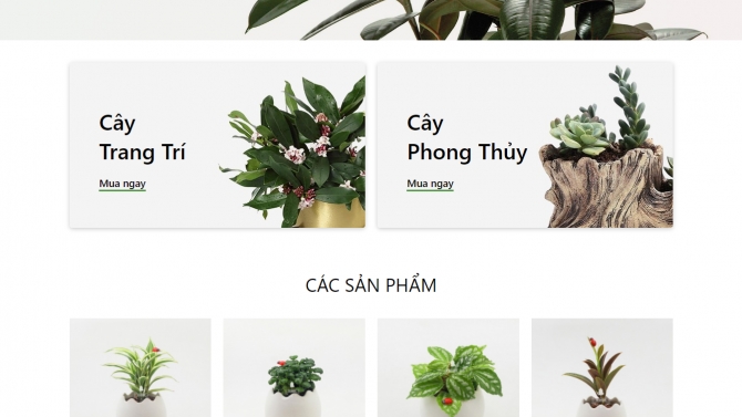 COCO - Chợ c&acirc;y cảnh