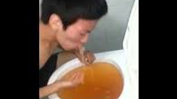 bọn mất dạy