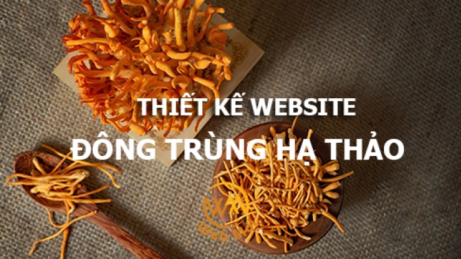 Thiết kế website đ&ocirc;ng tr&ugrave;ng hạ thảo