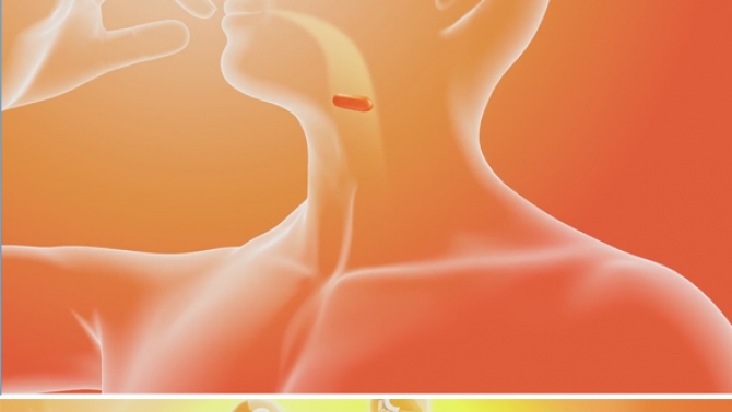 Demo 3D sản phẩm Enervon