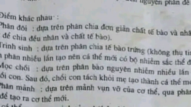 Viết b&agrave;i