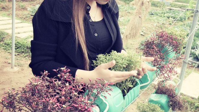 Quản L&yacute; Dự &Aacute;n . Soạn thảo văn bản