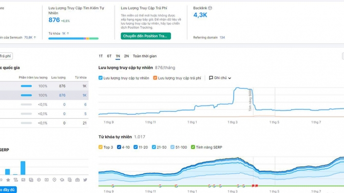 SEO Website giatinphat.vn