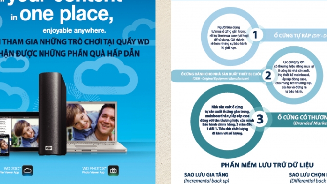 thiết kế brochure