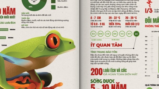 Thảo Cầm Vi&ecirc;n Infographic Book