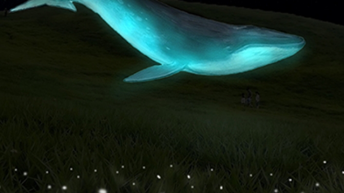 Blue Whale