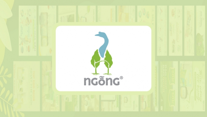 Ngỗng