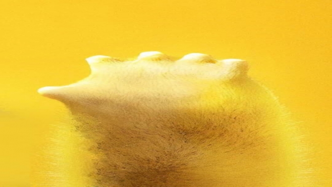 Mời xem qua Link behance của em ạ