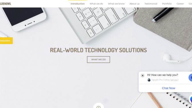 X&acirc;y dựng website