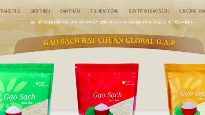 Thiết kế website Gạo Hoa L&uacute;a