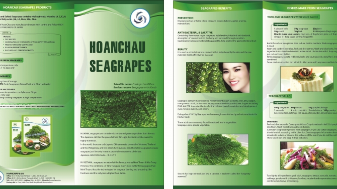 tờ rơi