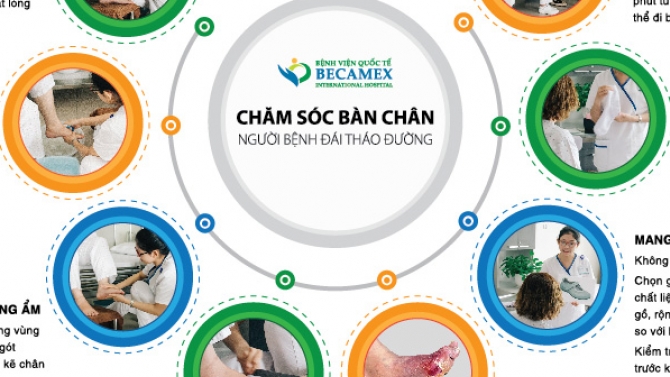 Thiết kế brochure