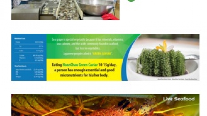 banner web