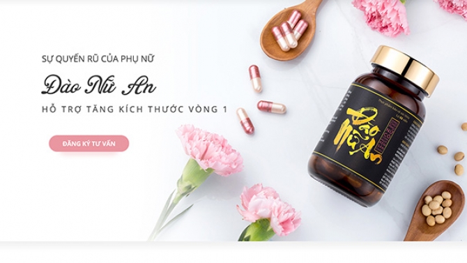 Thiết kế giao diện website Đ&agrave;o Nữ An