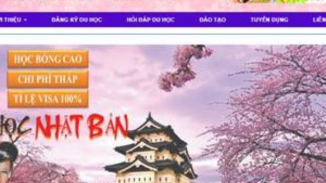 Quản trị v&agrave; viết b&agrave;i cho website Tư vấn Du học Nắng Mới