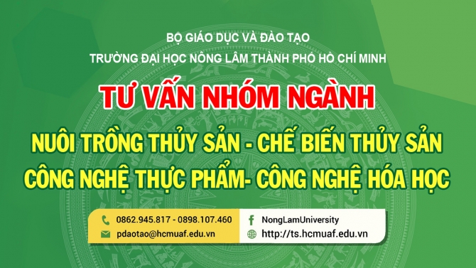 thiết kế banner