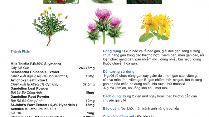 Leaflet