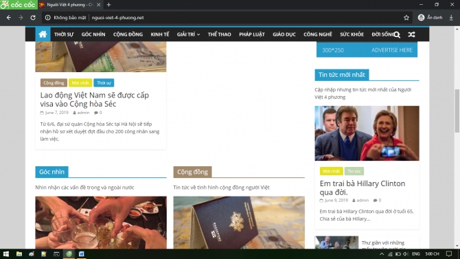 Website Wordpress