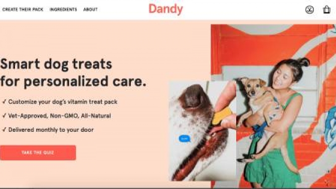 Dandy Pet