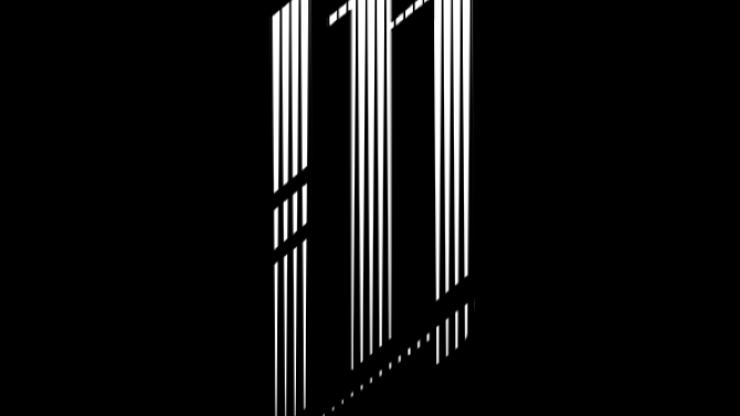 Graphic design + Illustration