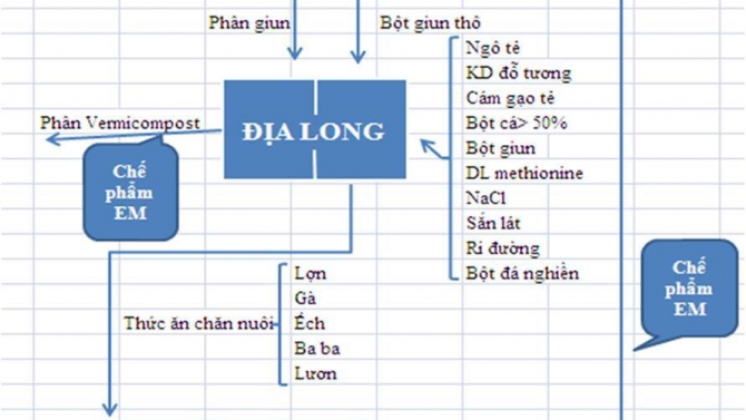 T&igrave;m partner phụ tr&aacute;ch t&agrave;i ch&iacute;nh